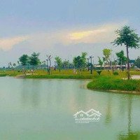 Bán Lô Góc Lk13 ( Đầu Ve ) Mb 520 Rưng Thông Đồng Nhưng Đông Sơn Thanh Hóa