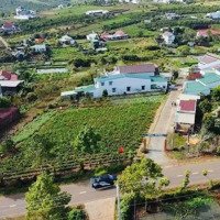 Bán Đất Hẻm Lý Thái Tổ _ Đamri Hơn 500M2 Sẵn Thổ Cư