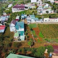 Bán Đất Hẻm Lý Thái Tổ _ Đamri Hơn 500M2 Sẵn Thổ Cư