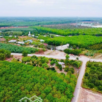 Đất Trừ Văn Thố, Bàu Bàng Mặt Tiền Giá Chỉ 8Xx