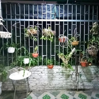 Siêu Hiếm Còn Sót Thoáng Trước Sau Lê Thanh Nghị Diện Tích: 36M2 Giá Bán 7.9 Tỷ Lh: E Hương Nhà Xuynh 0988838288