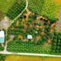 Bán Đất Vườn Tại Suối Hiệp - Diên Khánh - Khánh Hoà
