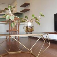 Cho thuê căn hộ 1 phòng ngủ, 50m2, Từ Hoa, Tây Hồ, đủ đồ, ban công thoáng