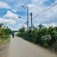 Hót [1927M2], Có 100M2 Thổ Cư, Ont Full Hồng, Mặt Trước Sân Bay Long Thành