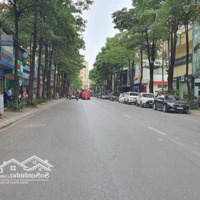 Cho Thuê Tòa Nhà Số 5A Lô 1 Kđt Trung Yên, Diện Tích: 90M2 X 8T Mt: 5,5M , Đường 2 Ô Tô Tránh Nhau