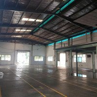Cho Thuê Nhà Xưởng Diện Tích 6600 M . Diện Tích Sử Dụng 4600 M Có Pccc Bên Hông Có Trạm Điện 560 Kw