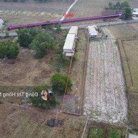 Nhựa Buôn Bán Đường Cầu Ô 8X103M Có Thổ Cư Chỉ 2.4 Tỷ