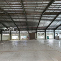 Cho Thuê 650M2 Kho Xưởng, Giấy Tờ Hoàn Chỉnh