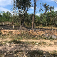 Đất Dương Tơ - Gần Bãi Trường, Vườn Tiêu, Khu Nghỉ Dưỡng - Giá Tốt Nhất Thị Trường