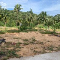 Đất Nền Dương Tơ - Mặt Tiền Đường Lớn, Giao Thông Thuận Tiện