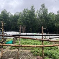Bán Gấp Đất Đẹp Tại Đại Nghĩa, 770 Triệu, Diện Tích 121M2, Đường Bê Tông 6M, Sát Ái Nghĩa