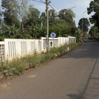 Chủ Nợ Bank Nên Cần Bán Gấp Để Trả Nợ ,Diện Tíchhơn 11.000M2 , Có 200Thổ Cư , Giá Rẻ Nhất Khu Vực