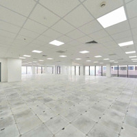 Bql Cho Thuê Văn Phòng 300M; 500M; 800M2...1500M2 Cho Thuê Giá - 250K/M2/Tháng, Pccc Đầy Đủ
