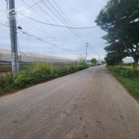 Đất Trung Tâm Thị Trấn Thạnh Mỹ Đơn Dương Lâm Đồng Đường Nhựa Sổ Riêng Thổ Cư Chỉ 750 Triệu