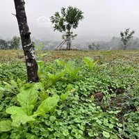 E Có Từ 1000 Đất Vườn Giá Rẻ Tại Đông Xuân, Quốc Oai Chỉ Cách Bigc 35Km Cho Các Bác Yêu Thích Làm V