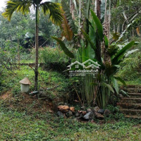 Bán Siêu Phẩm 15.444M 130M Mặt Tiền Sát Xanh Villas & Làng Đại Học Quốc Gia. ~ Hơn 90 Tỷ