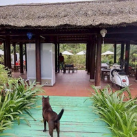 2 Mặt Tiền, Nở Hậu, Kinh Doanh Sầm Uất,Dòng Tiền 25 Triệu/Th, Đống Đa, Hải Châu 60M2 Chỉ 12.9 Tỷ.