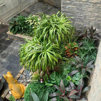 Bán Biệt Thự Sân Vườn Siêu Đẹp Tại D5 Vườn Đào, Lạc Long Quân ,Tây Hồ,Diện Tích203M2, Xây 4 Tầng Lô Góc