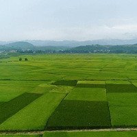 Bán Đất Tại Đường Quốc Lộ 55, Xã Phước Thuận, Xuyên Mộc, Bà Rịa Vũng Tàu, 24 Tỷ, 3728 M2