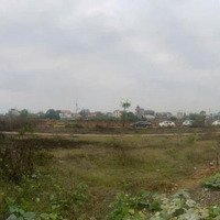 Cơ Hội Đầu Tư Đất Đấu Giá Thanh Cao Giá Tốt Nhất Khu Vực!