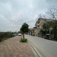 Cơ Hội Đầu Tư Đất Đấu Giá Thanh Cao Giá Tốt Nhất Khu Vực!