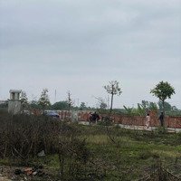 Cơ Hội Đầu Tư Đất Đấu Giá Thanh Cao Giá Tốt Nhất Khu Vực!