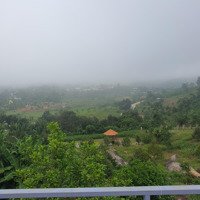 Lô Đất Vườn Diên Xuân Giá Đầu Tư