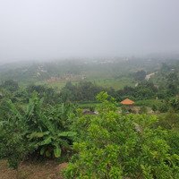 Lô Đất Vườn Diên Xuân Giá Đầu Tư