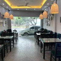 Bán Nhà Mặt Phố Hoàng Cầu, Giá Ưu Đãi 28,5 Tỷ, 50M2, Đống Đa, Hà Nội