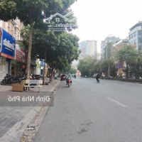 (Mặt Tiền 6.5M) Bán 9 Tầng Hầm Phố Nguyễn Hoàng 96M2 - Vị Trí Chính Giữa Phố Đắc Địa - Kd Sầm Uất