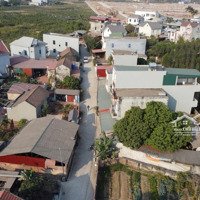 Hiếm - Bán Đất Cạnh Khu Công Nghiệp Tân Hưng Lạng Giang, Bắc Giang - Sinh Lời An Toàn Và Hấp Dẫn