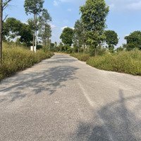 Bán Đất Dự Án Thanh Hà Cienco5 100M2 Giá Tốt