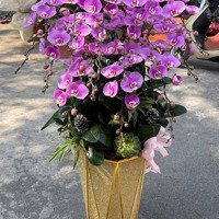 Hàng Độc 180M Mặt Đường Nguyễn Văn Linh - Bên Cạnh Lẩu Dê Nhất Ly . Giá Chốt 6Xtr/M2