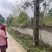 Bán gấp lô đất có diện tích 3000m2 trong đó có 400m2 thổ cư