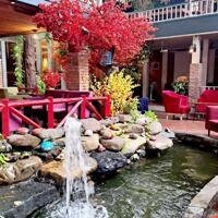 Siêu Phẩm Quán Cà-phê Sân Vườn Nguyễn Ảnh Thủ, 611m2, 3 Tầng ngang 24m, Dòng Tiền 350 triệu tháng