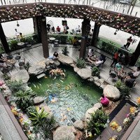 Bán Gấp Lô Góc Chân Chung Cư Đối Diện Kcn Vsip1 Tặng Quán Cafe Cá Koi Và Bida Thu Nhập 200 Triệu/Tháng