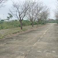 Cần bán lô đất nền 8000m2 mặt tiền đường lạc long quân.phường điện dương.thị xã điện bàn.quảng nam