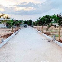 Bán Đất Diên Lạc Trung Tâm Tt. Diên Khánh Giá Chỉ 915 Triệu