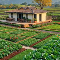 Bán Đất Đường Nguyễn Công Trứ, An Hải Bắc, Sơn Trà, Đà Nẵng
