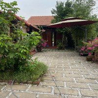 Bán Đất Đường Nguyễn Công Trứ, An Hải Bắc, Sơn Trà, Đà Nẵng