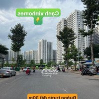 Chủ Cần Bán Gấp Nền Đất 8X20Mặt Tiền9A Đường 30M Thông Thẳng Qua Vinhomes Giá Tốt Chỉ 16,5 Tỷ.