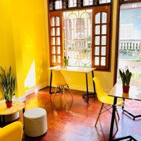 Chỉ 3,8 Triệu Có Văn Phòng 5- 8 Nhân Sự Mặt Phố Nguyễn Huy Tưởng, Thanh Xuân, View Ban Công Thoáng.