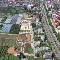 Đấu Giá Đồng Súc Bán Nhanh! Bán Đất Tại Thị Trấn Phùng, Đan Phượng, 6,8 Tỷ, 74M2 Siêu Hot