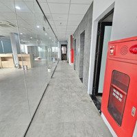 Bán Toà Building Lô Góc 3 Thoáng Mặt Phố Víp Vũ Tông Phan Kinh Doanh 310M X 10T,Mặt Tiền11M Giá Bán 145 Tỷ