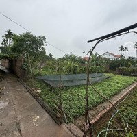 Chính Chủ Em Bán 57M Hạ Mỗ-Đan Phượng-Gần Vành 4 Và Vinhome Wonder City