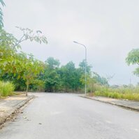 Bán đất ô góc khu đô thị Park Hill Thành Công, Định Trung, Vĩnh Yên.