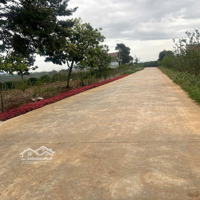 Đón Đầu Năm Mới Với Lô Đất 1300M2 Trung Tâm Xã Liên Hiệp, Ngay Sân Bay Liên Khương Giá Bán 2.7 Tỷ