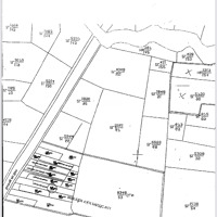 Bán Trang Trại Nuôi Heo Mặt Tiền Đường An Sơn, 83X175M Cách Ubnd An Ninh Tây 1Km