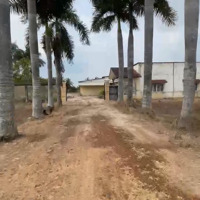 Bán Trang Trại Nuôi Heo Mặt Tiền Đường An Sơn, 83X175M Cách Ubnd An Ninh Tây 1Km
