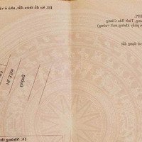 Chính Chủ Gửi Bán Lô Đất Đấu Giá Hương Lạc Lạng Giang Bắc Giang